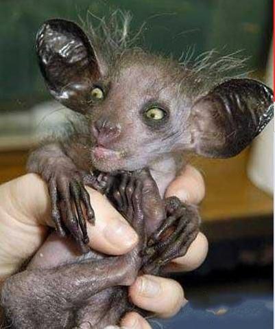 真实灵异事件揭秘水鬼亲历者讲述水猴子害人