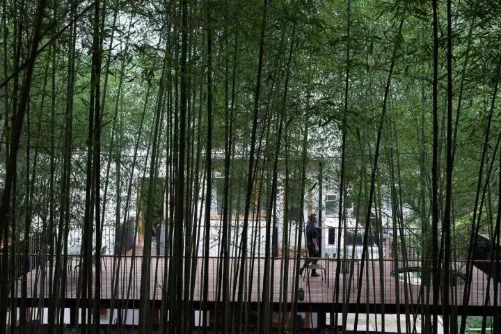 厉害了，很想拥有这样的雅居！