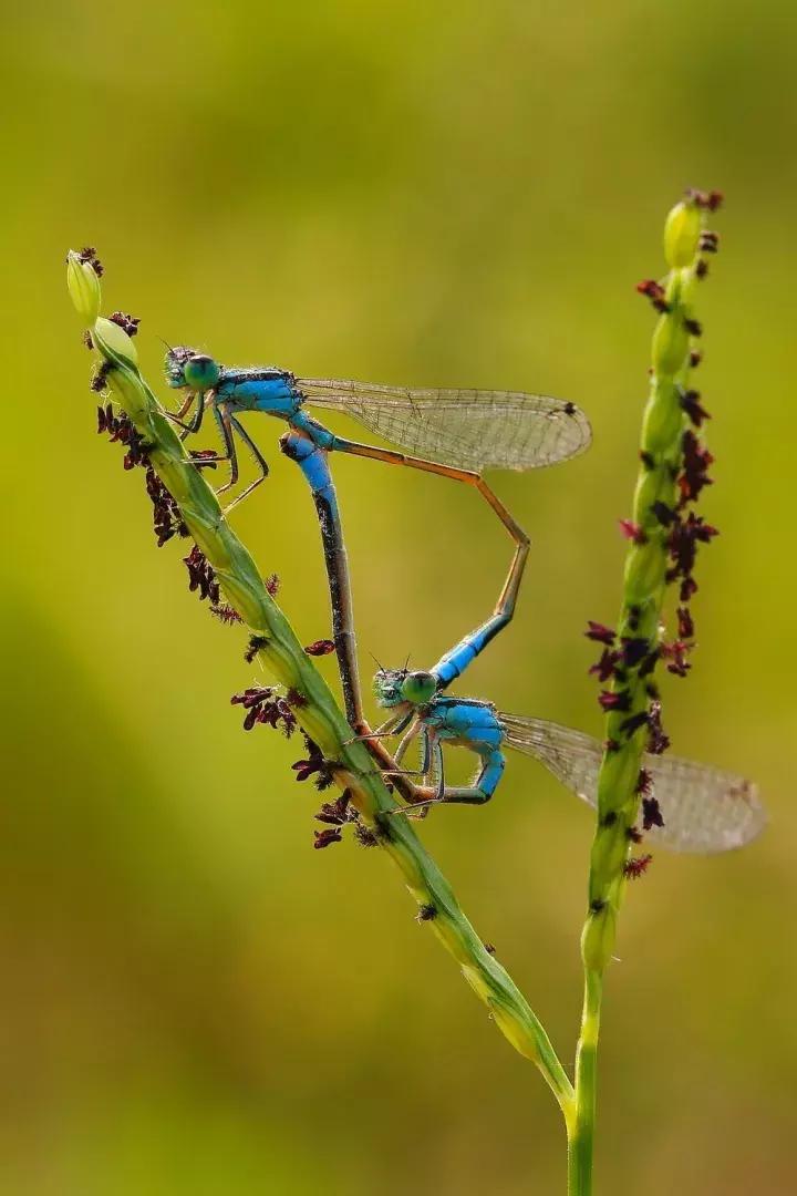 摄友摄影师作品,摄友照片点评