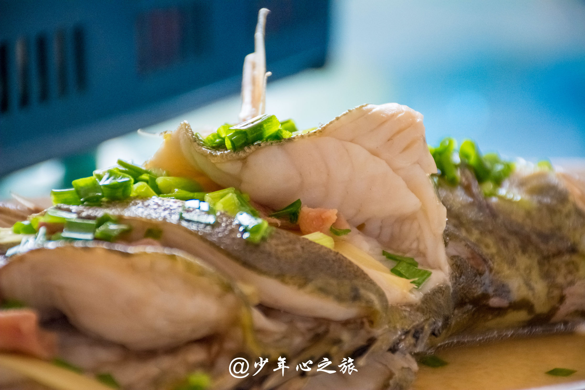 这里汇聚了全国各地的明星，这里也云集了五湖四海的美食