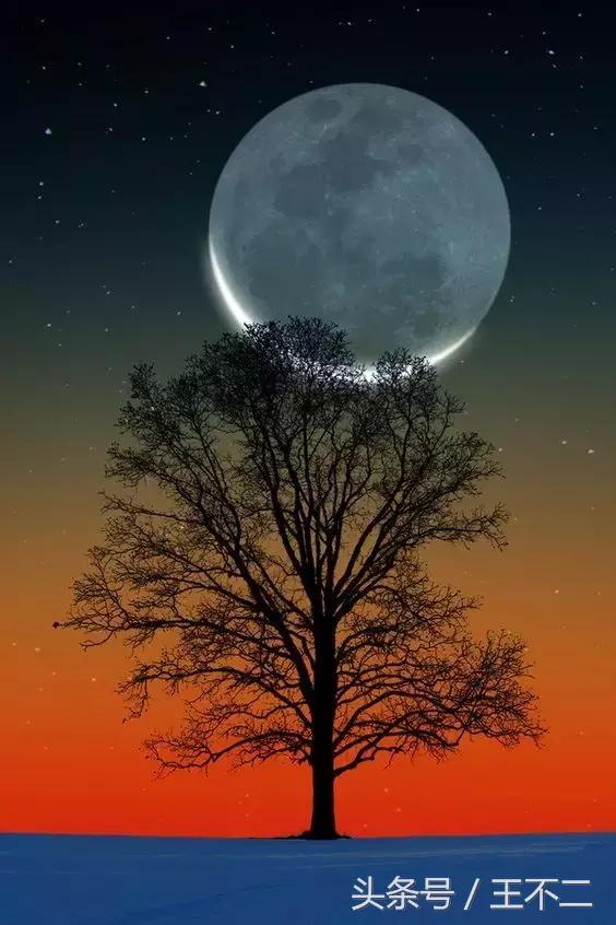 脑洞很大的想法有哪些,脑洞有多大1-10关