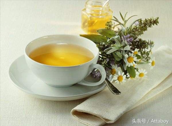 药茶现在状况,药茶趋势