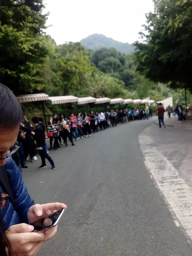 华侨城最好玩的项目,华侨城有哪些值得玩的地方