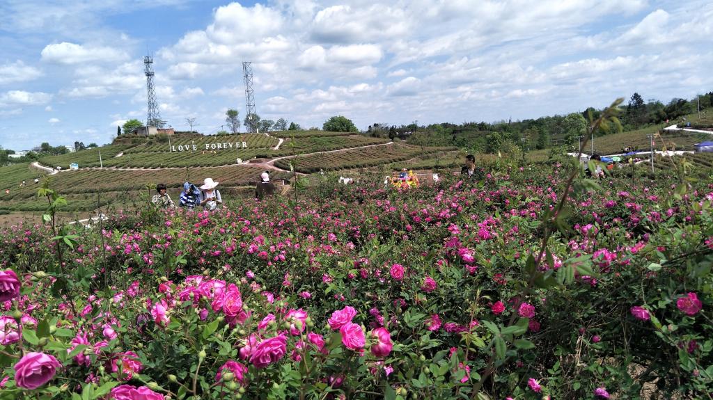 我的家长粤语,我的家长完整版