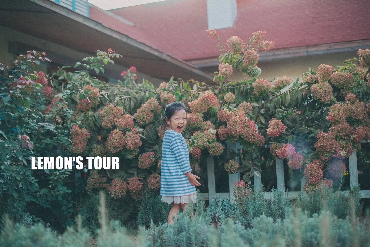 诺金度假酒店北京环球度假区,北京适合带孩子玩的度假酒店