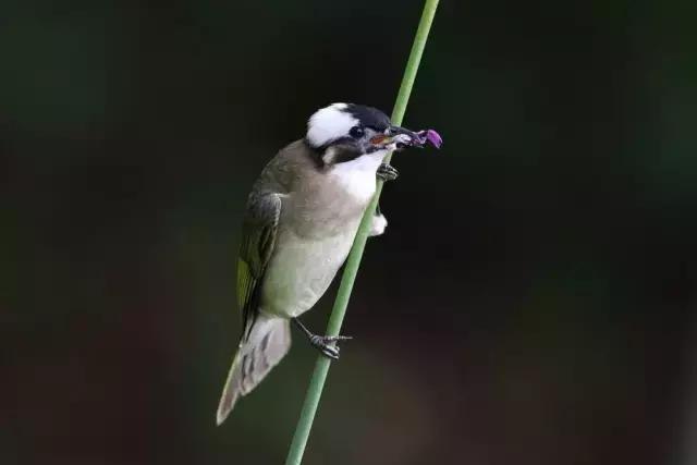 摄友摄影师作品,摄友照片点评