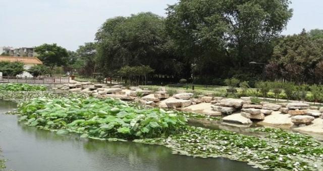 我的家长粤语,我的家长完整版