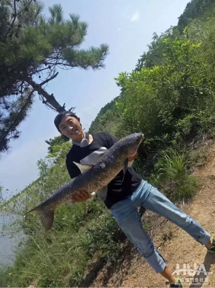飞鲨*力暴**搞起最大32斤大青