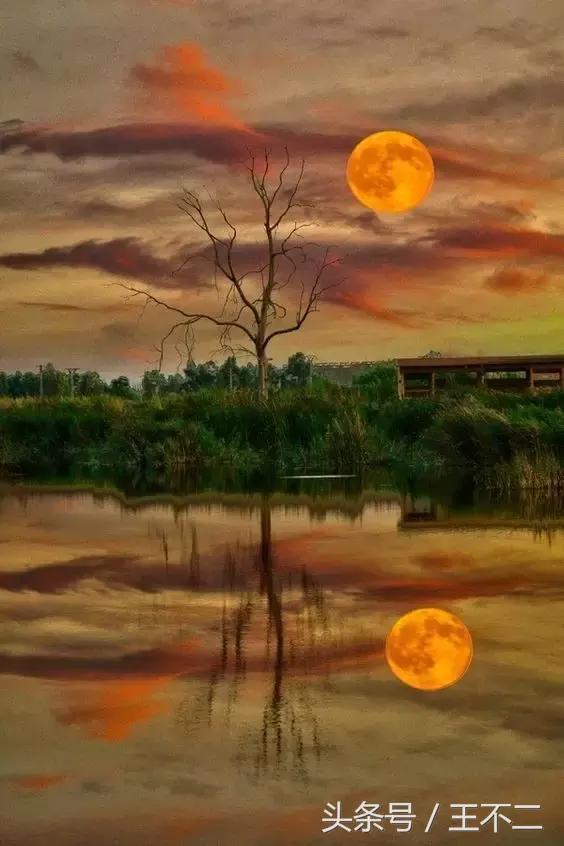 脑洞很大的想法有哪些,脑洞有多大1-10关