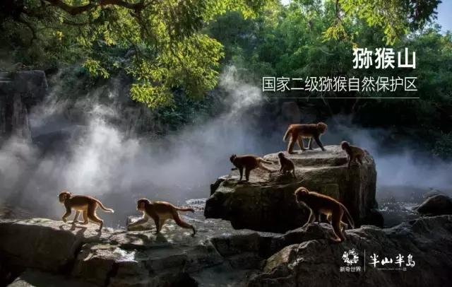 三亚半山半岛自助多还是游客多,三亚半山半岛详细介绍