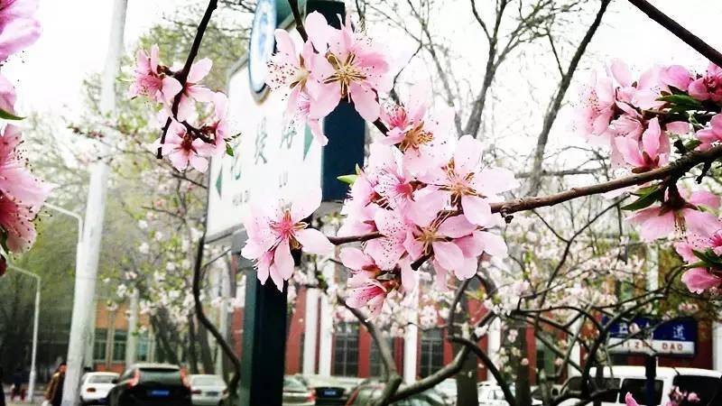 一大波的好消息袭来,一大波好消息