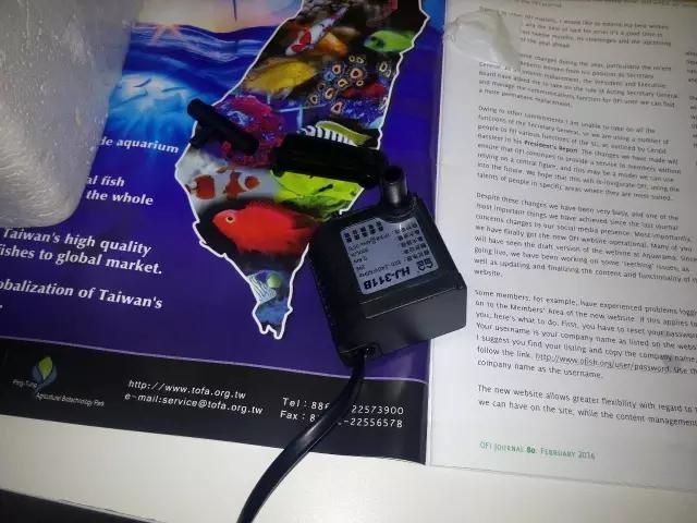 开缸的日记,开缸日记小鱼缸