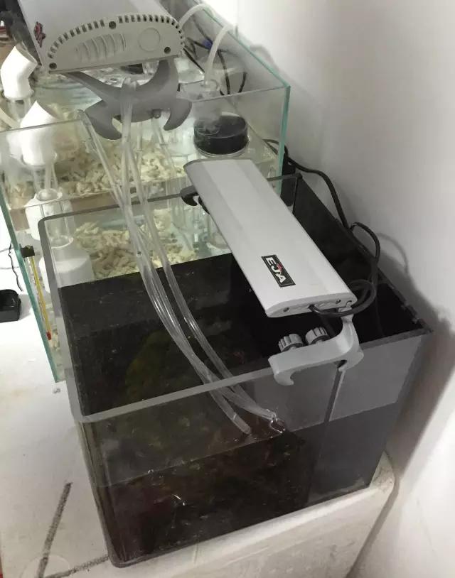 开缸的日记,开缸日记小鱼缸