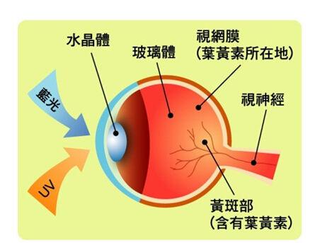 乐2手机怎么录屏,乐2手机屏幕