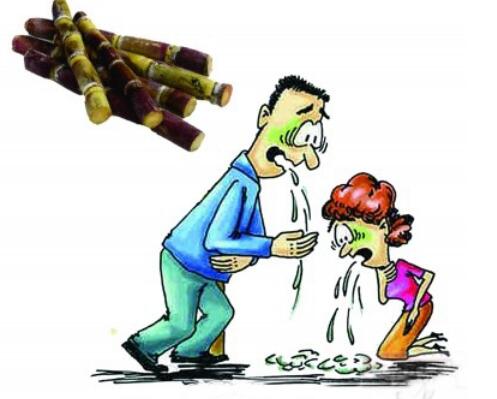 这个季节吃甘蔗有啥危害,甘蔗什么季节吃