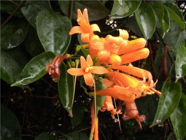 德国金阶手机好不好,德国gigasetme手机怎么样