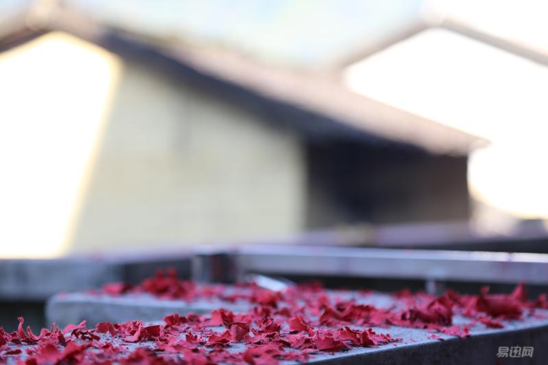 进入摄影坑不久的新人,刚入坑摄影的照片