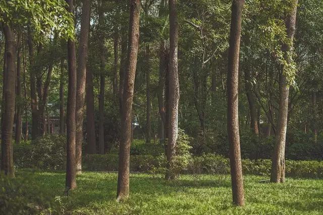 他在这里盖房子时，日本人还没学会唐风