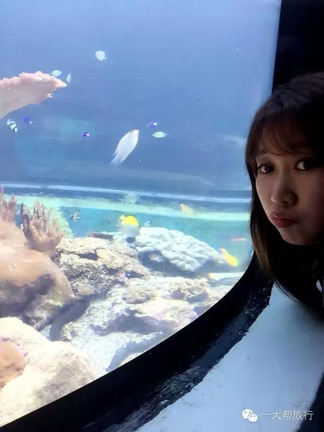 默默达人分享会：台湾环岛十五日深度游