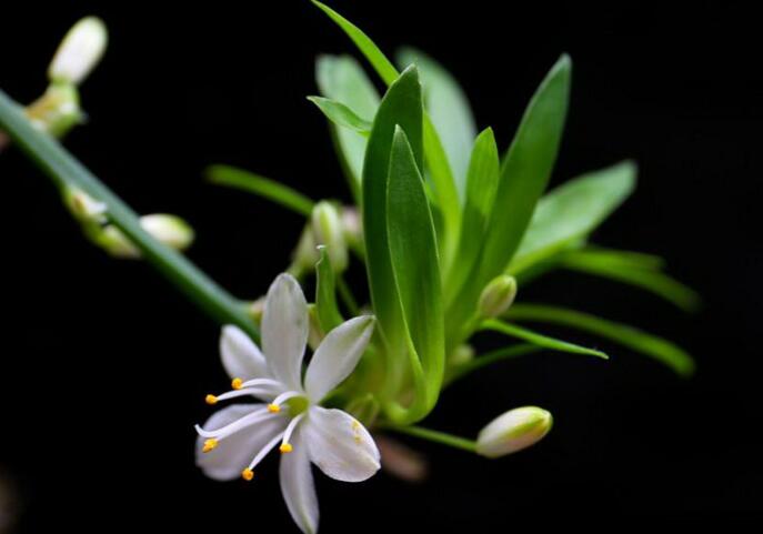 职场高手遇事处理的九种方法,怎么应对职场贪小便宜爱翻脸的人