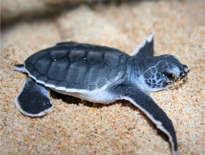 巽寮湾最值得住的6家,巽寮湾最值得住的6家酒店价格