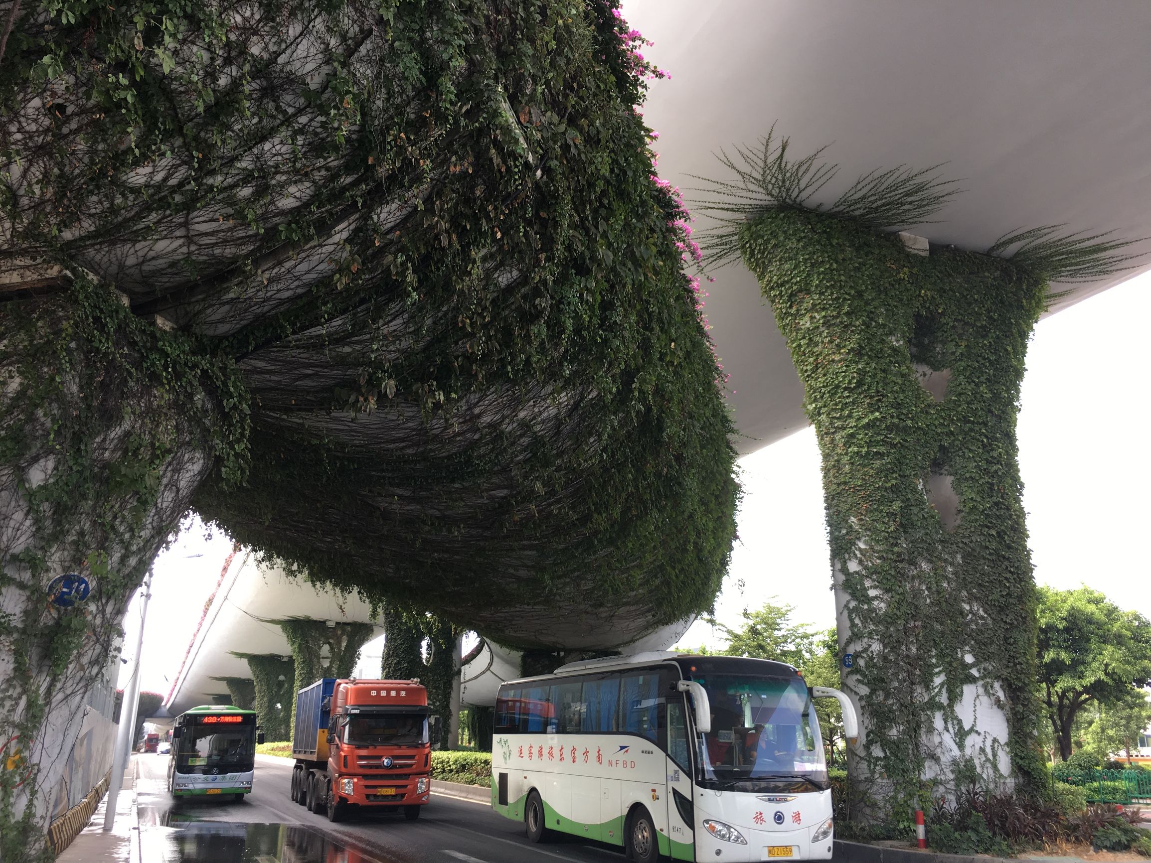 徒步旅行100天视频,徒步万里行28天