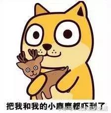 北京最贵的幼儿园一年的费用,北京最贵的幼儿园