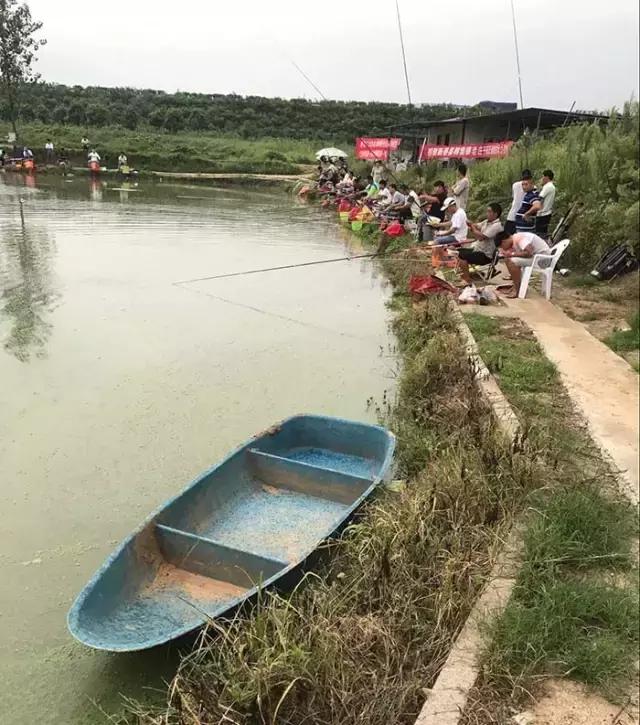 2017钓鱼比赛河南,行营河钓比赛