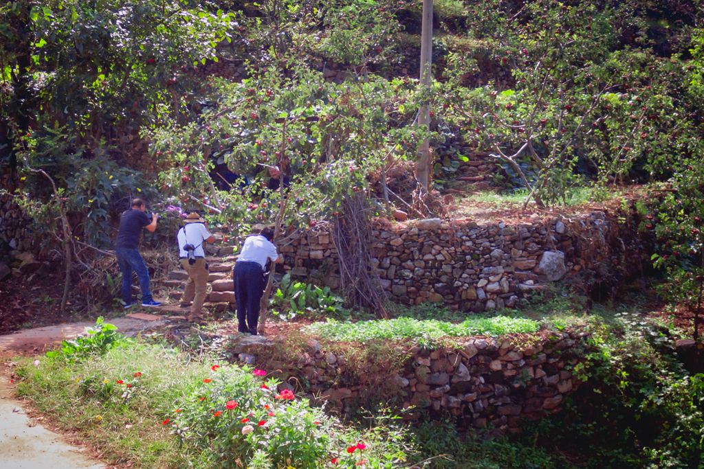 彭泉漫游谷一日游图片,彭泉漫游谷图片