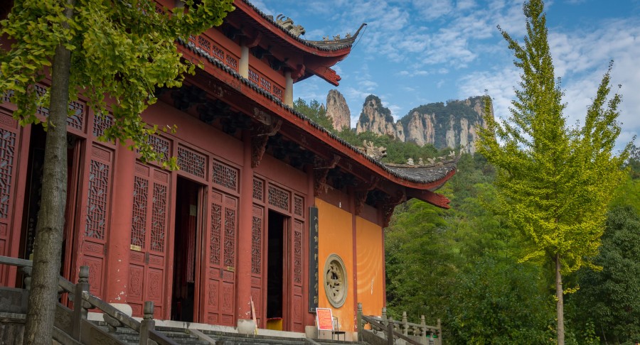 外国人看到上海的样子,上海浦江视频