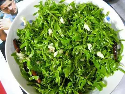 踏青挖野菜指南,最好玩的野趣旅游地方采野菜