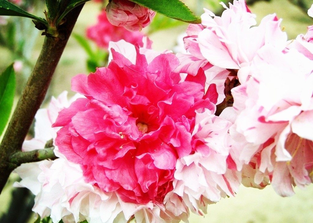 一大波的好消息袭来,一大波好消息