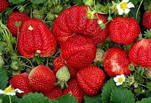 一大波的好消息袭来,一大波好消息