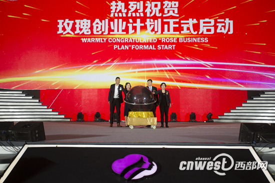 陕西三八妇乐集团,陕西三八妇乐科技公司