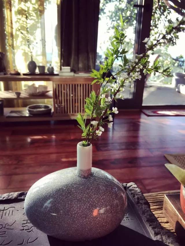 杨丽萍的太阳宫简介,杨丽萍太阳宫全部照片