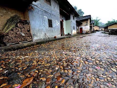 英德石牯塘镇有什么,英德市石牯塘镇简介