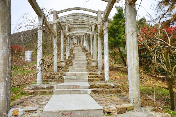 太湖舒畅之旅：乐享田园生活