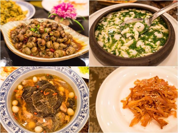 太湖舒畅之旅：乐享田园生活