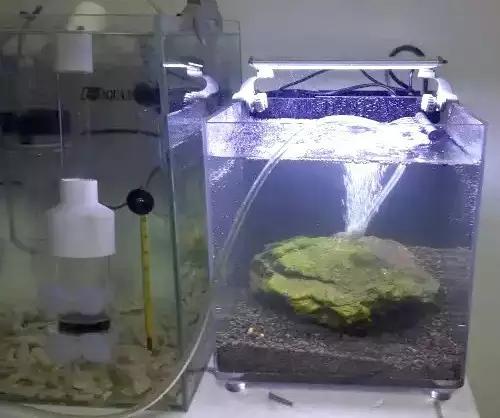 开缸的日记,开缸日记小鱼缸