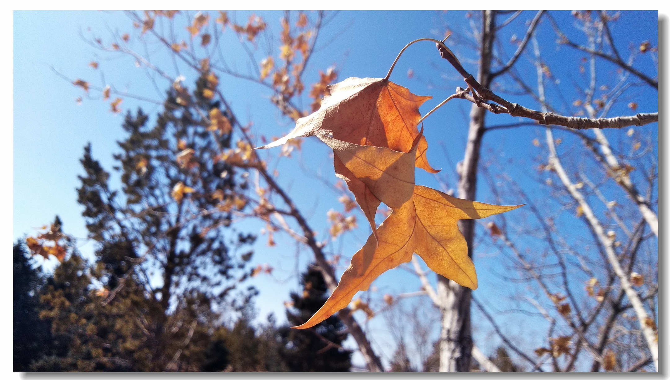海信a151测评,海信a100评测