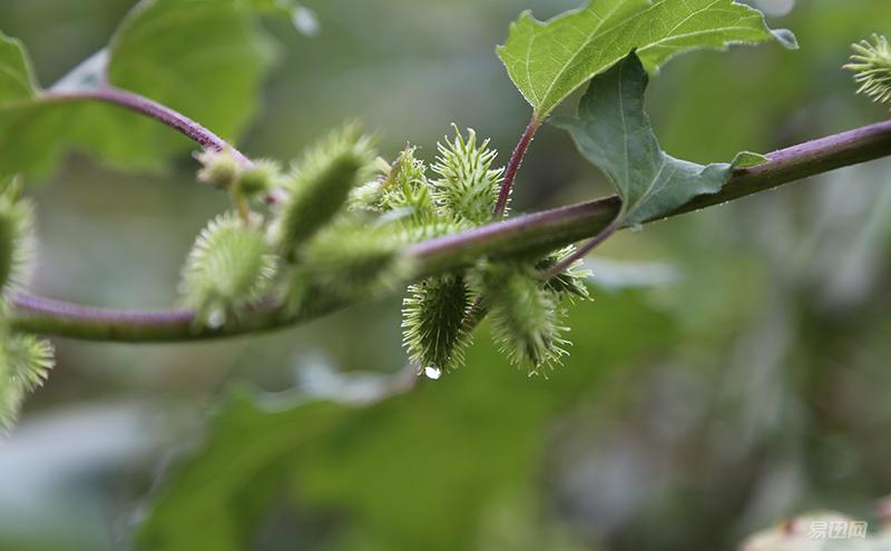 进入摄影坑不久的新人,刚入坑摄影的照片