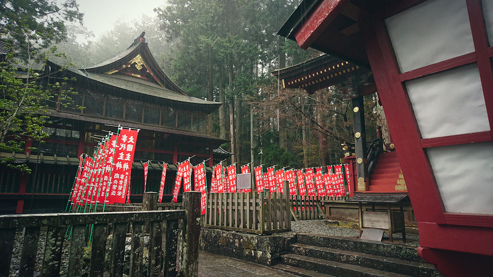 #与索尼为5#赏樱之旅之三：暴雨中方见机身防水之本色！