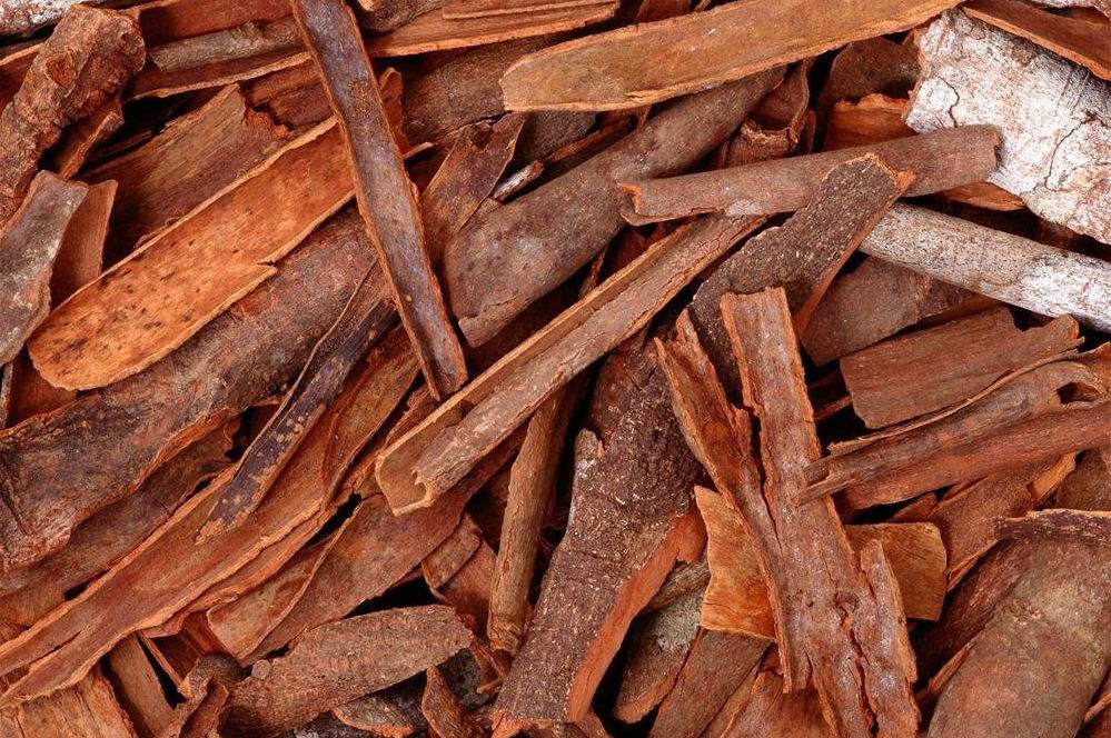 桂皮是八月桂花树皮吗,桂皮从桂花树上弄来吗