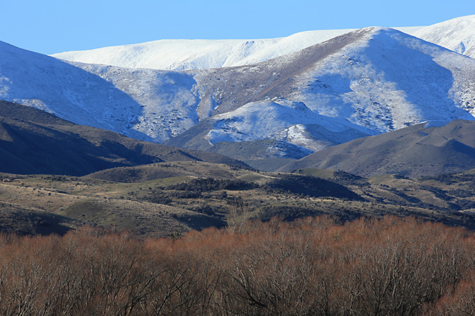 浣宠兘澶х櫧鍙傛暟,浣宠兘ef100-400f2.8涓変唬