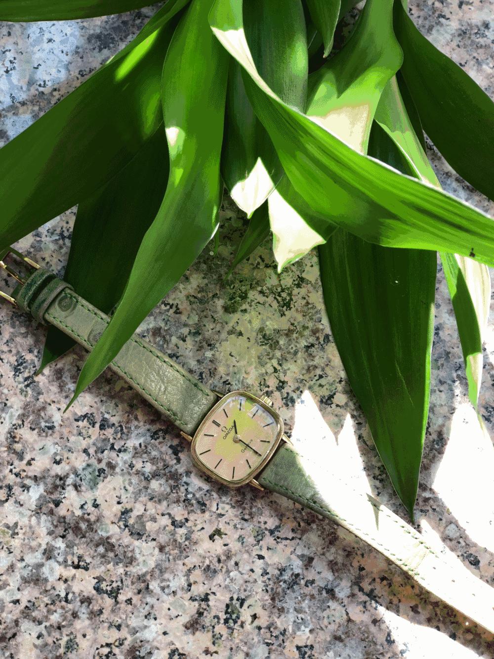 购物日记买东西,购物记完整版全集