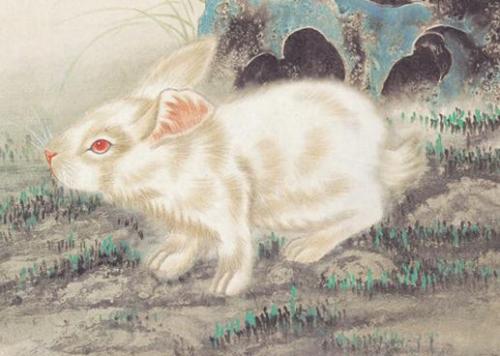 命苦？1987年属兔人的未来两年，有贵人助力迎来事业上升期