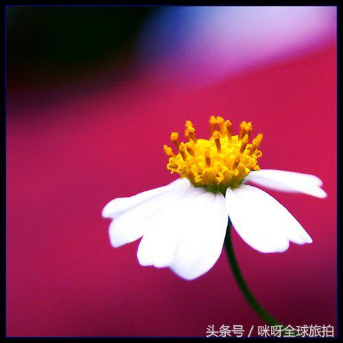 教你如何更好地构图咪呀婚纱摄影