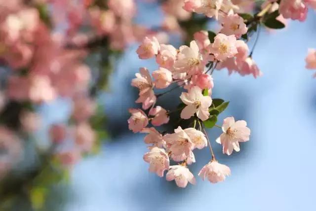 对不起成都，我只能给你90分！