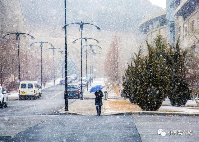 大连东软是本科学校吗,大连东软都有什么院系