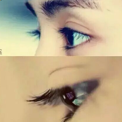 喜欢鹿晗原因,喜欢鹿晗英文